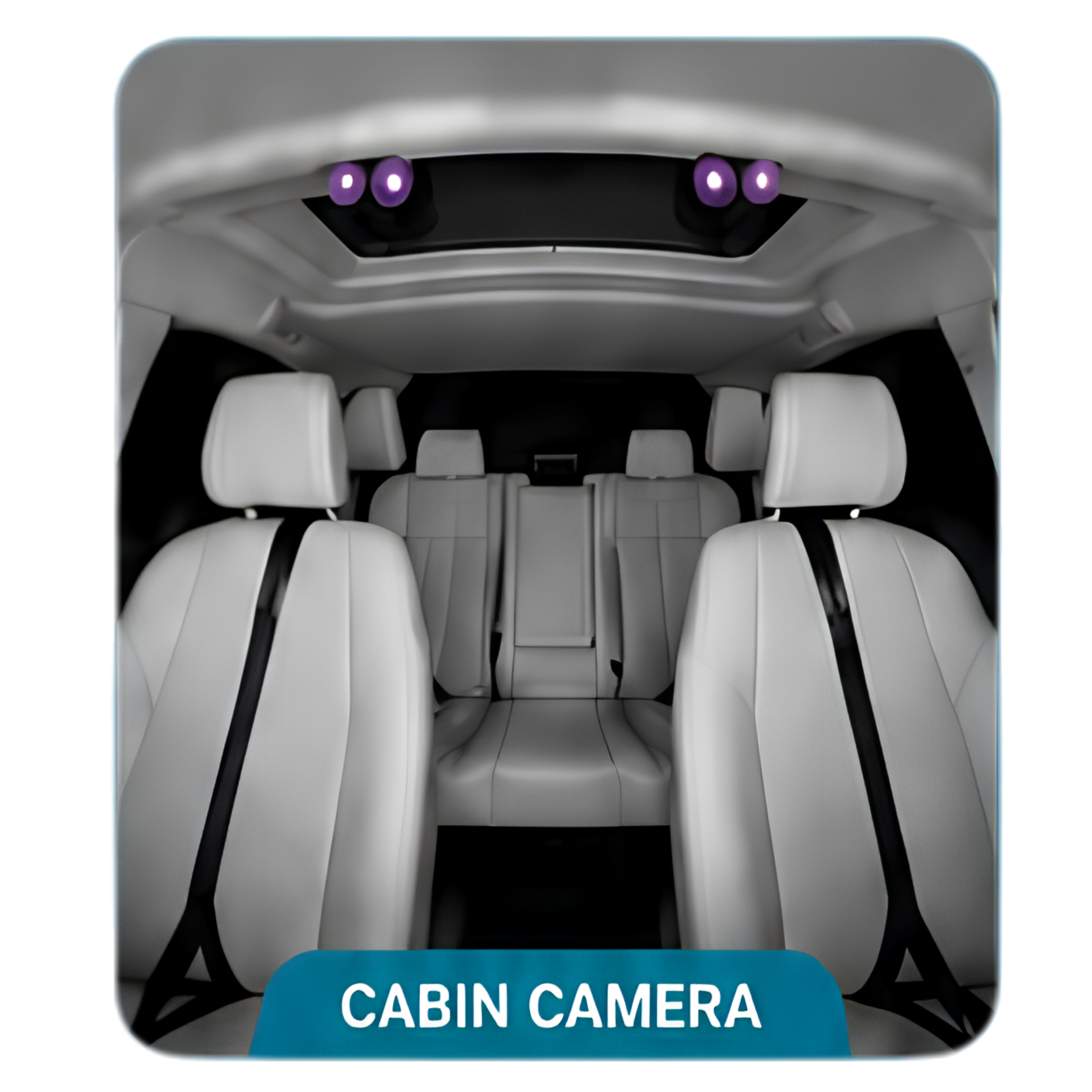 Cabin Camera